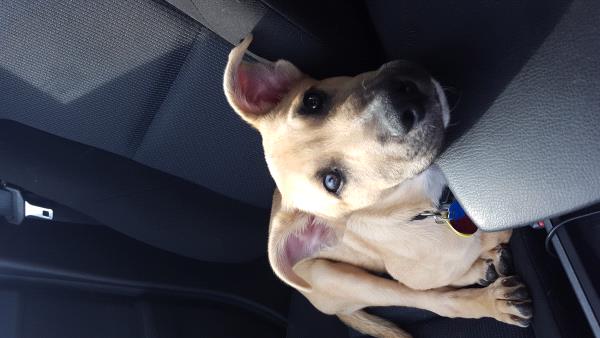 /Images/uploads/Humane Society of Utah/HSUCalendar/entries/1647thumb.jpg
